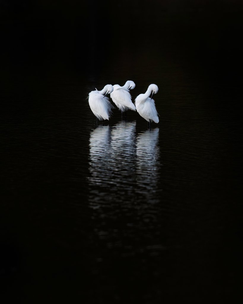 Detail of Threegrets by Paul Quellin