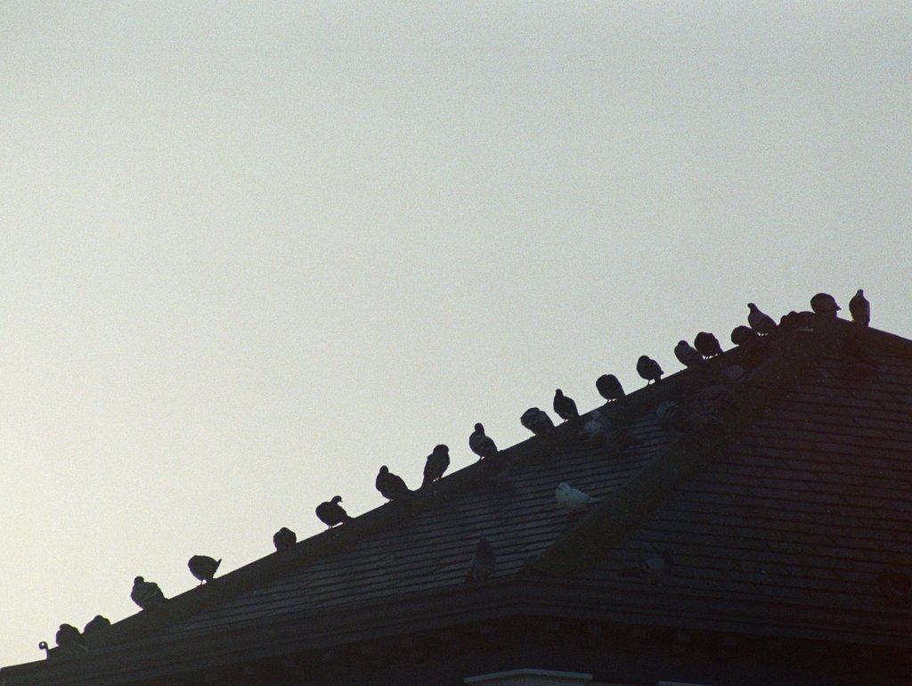 Detail of Ascending by Brooklyn Malone