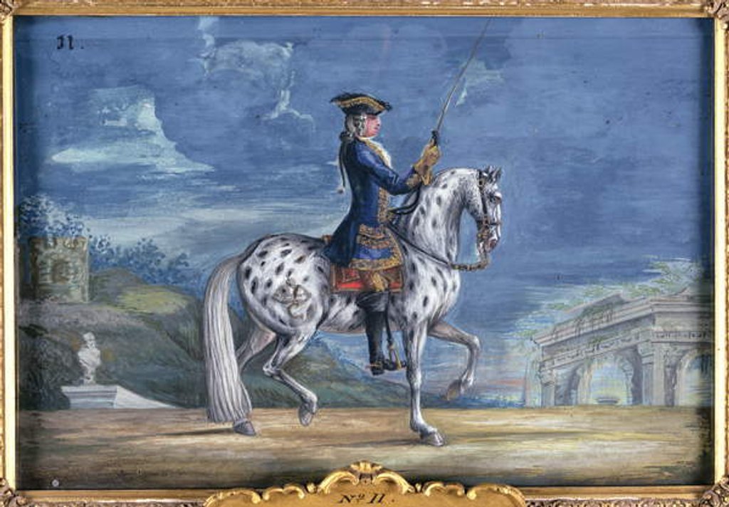 Detail of No. 11 An appaloosa horse of the Spanish Riding School by Baron Reis d' Eisenberg