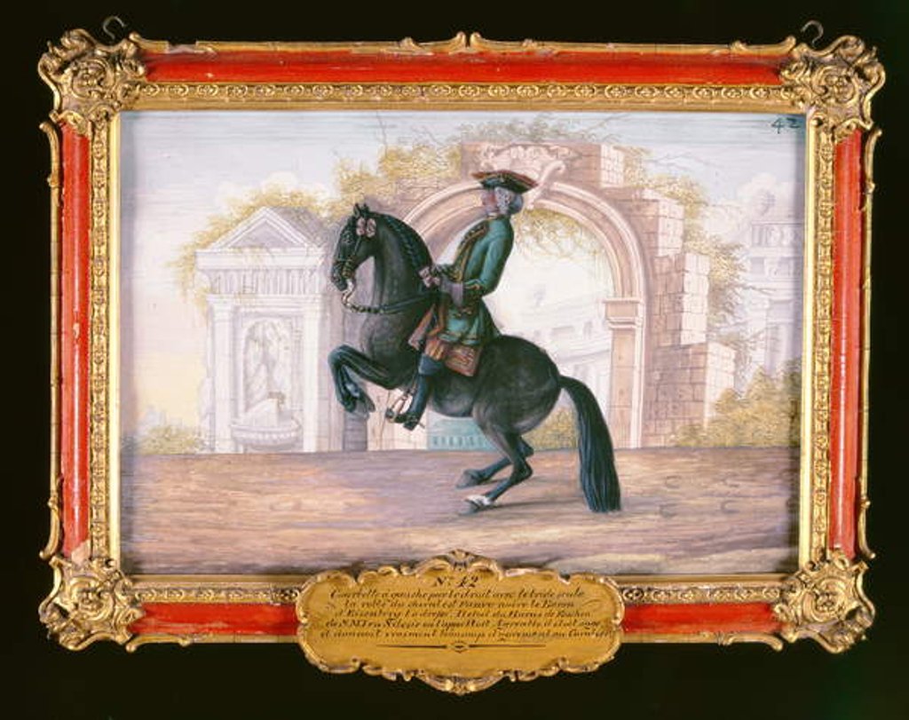Detail of No. 42 'Agrable', a dark fawn horse of the Spanish Riding School performing a dressage movement called a 'Curvet' by Baron Reis d' Eisenberg