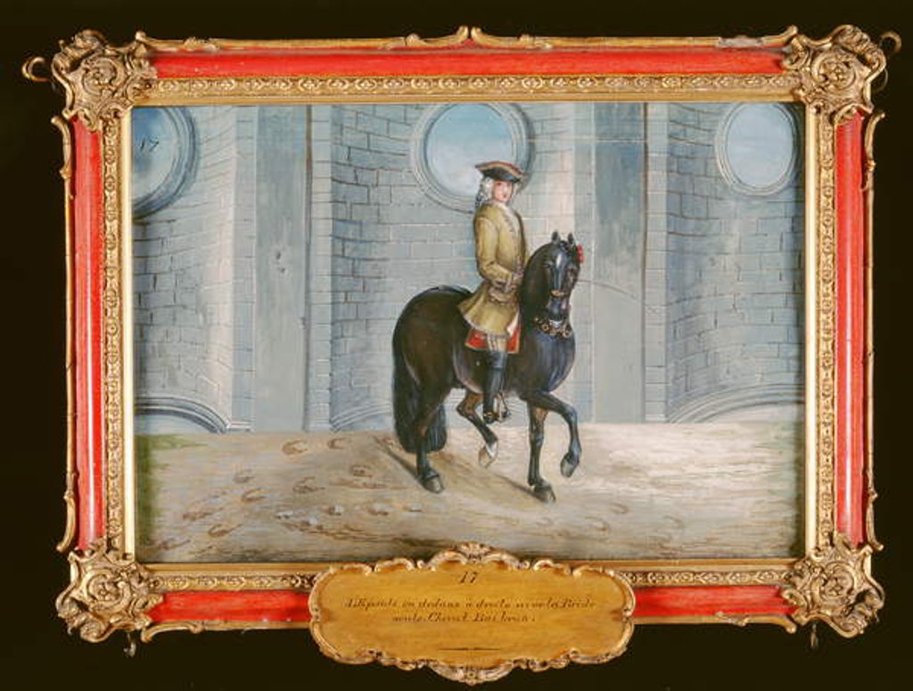 Detail of No. 17 A dark bay horse of the Spanish Riding School performing a 'shoulder-in' dressage step by Baron Reis d' Eisenberg