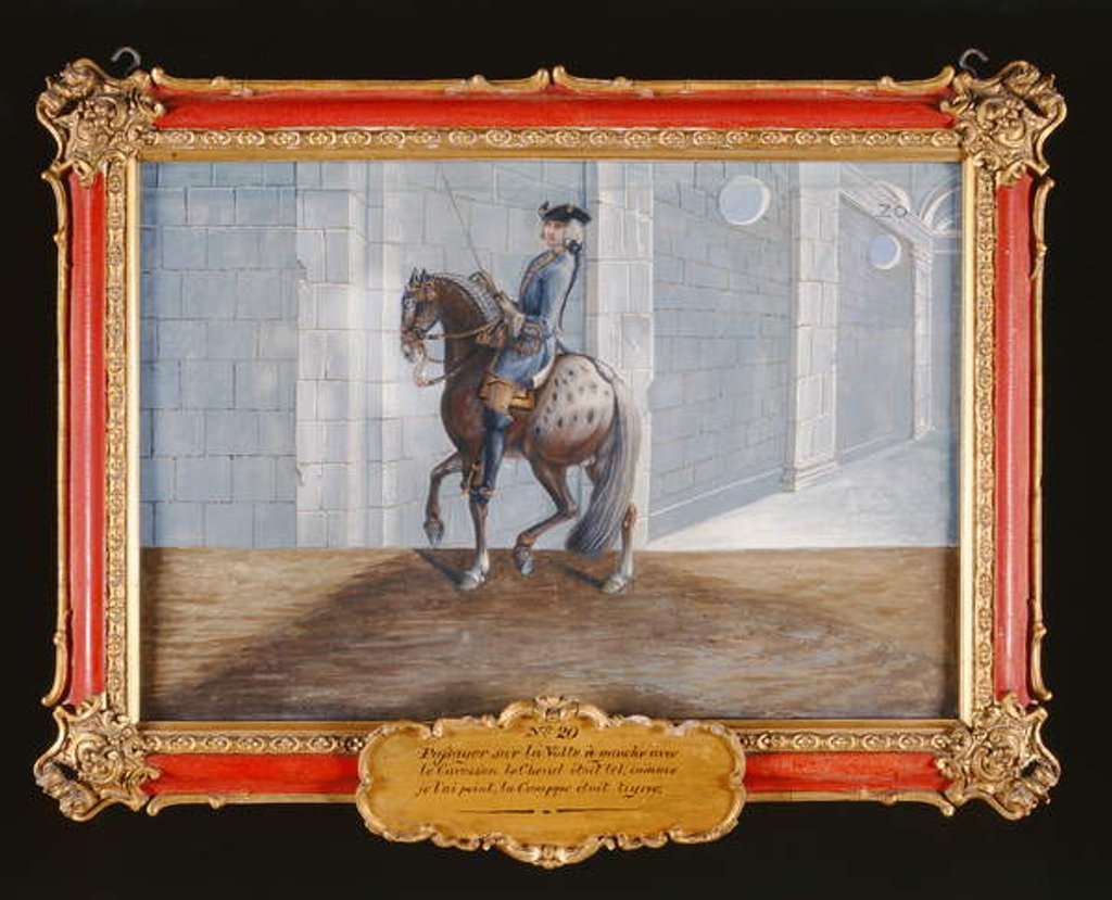 Detail of No. 20 A dapple grey horse of the Spanish Riding School performing the 'Volte' dressage step by Baron Reis d' Eisenberg