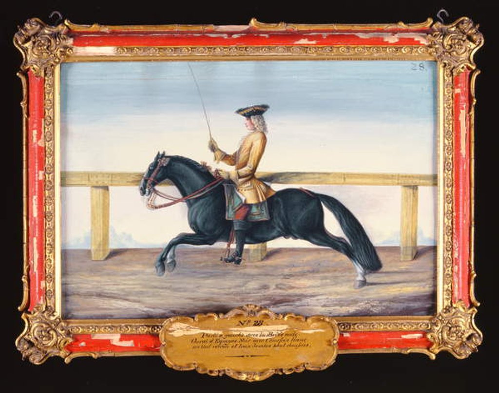 Detail of No. 28 A black Spanish horse of the Spanish Riding School performing a dressage movement by Baron Reis d' Eisenberg