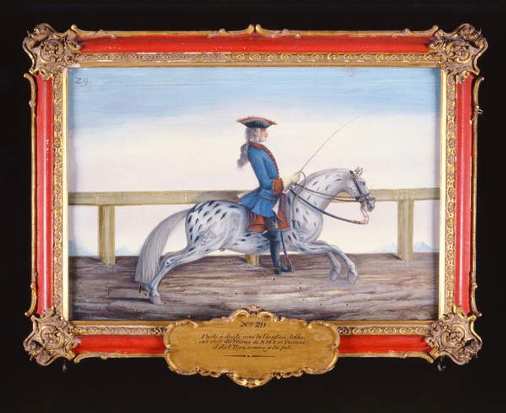 Detail of No. 29 A dappled grey horse of the Spanish Riding School performing a dressage movement by Baron Reis d' Eisenberg