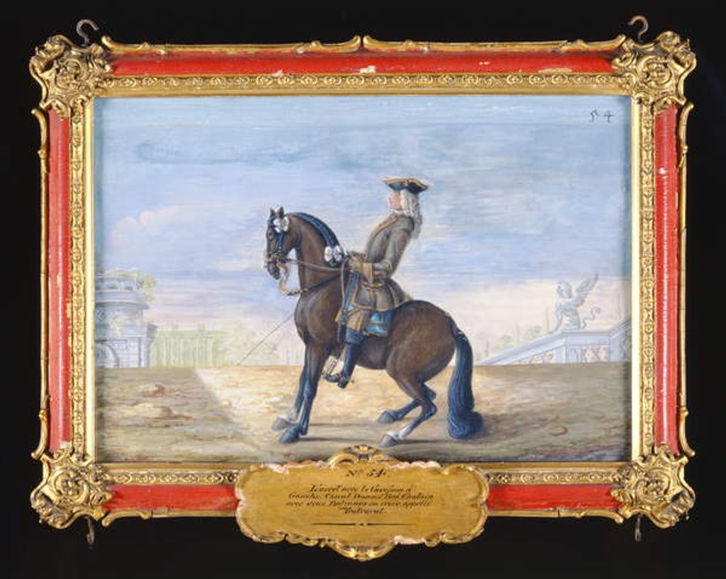 Detail of No. 54 A Danish chestnut bay horse of the Spanish Riding School performing a dressage movement by Baron Reis d' Eisenberg