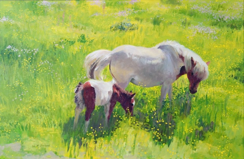 Detail of Piebald horse and foal by William Ireland