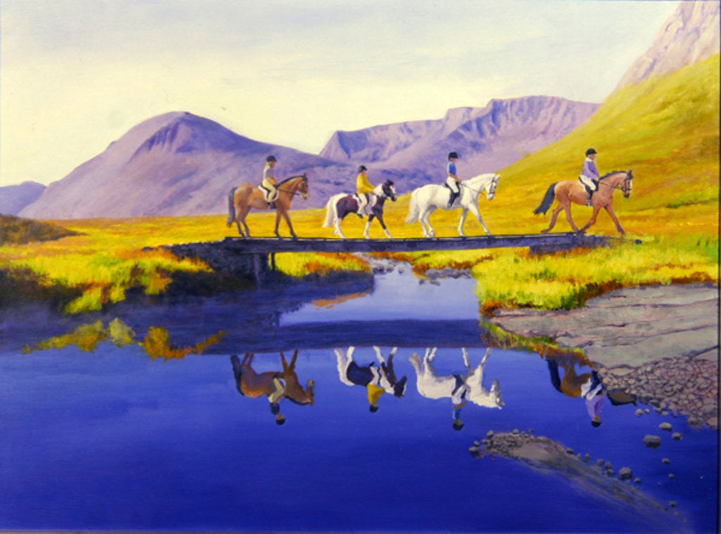 Detail of Mirror in the Cairngorms by William Ireland