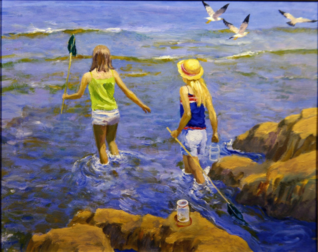 Detail of Rock Pool by William Ireland