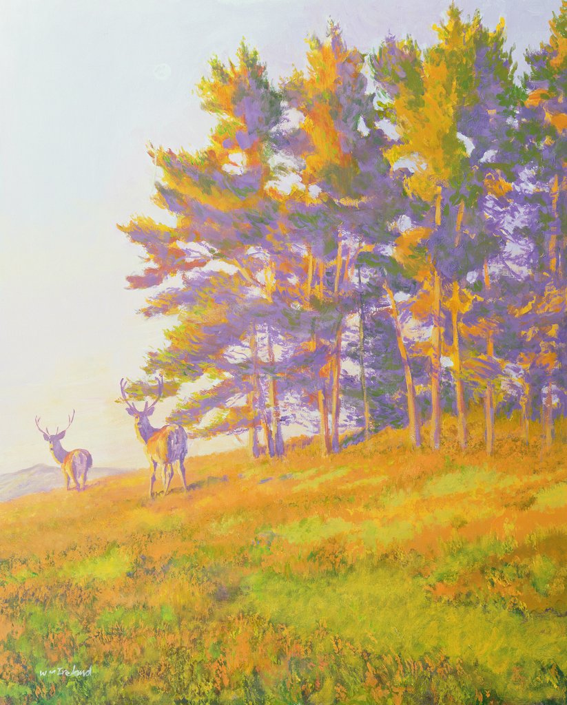 Detail of Startled by William Ireland