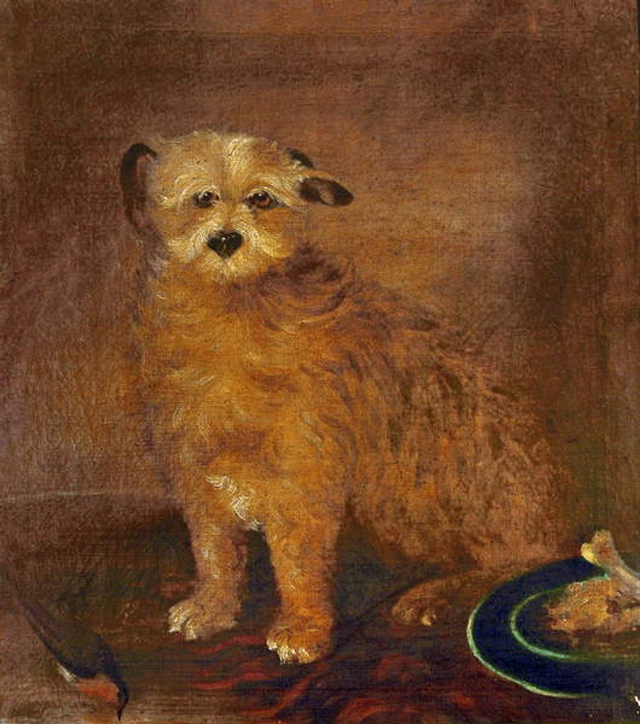 Detail of Wordsworth's Dog, Pepper, c.1806-20 by English School