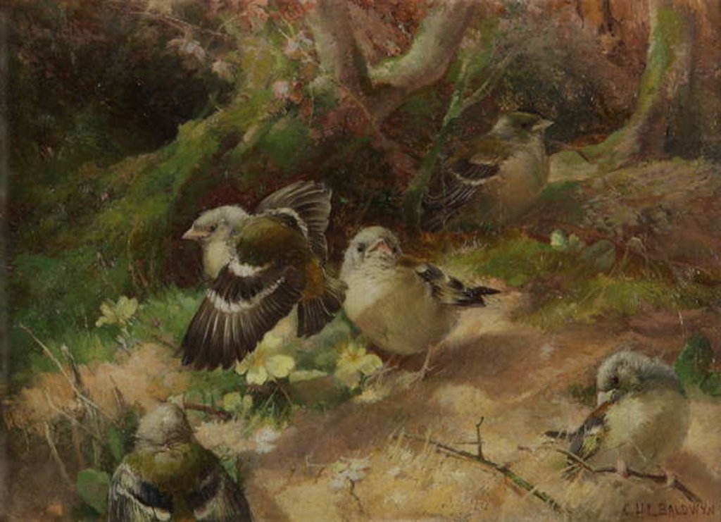 Detail of In Happy Woodland by Charles Henry Clifford (attr. to) Baldwyn