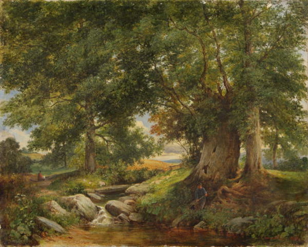 Detail of A Trout Stream near Worcester, 1866 by Henry Chaplin