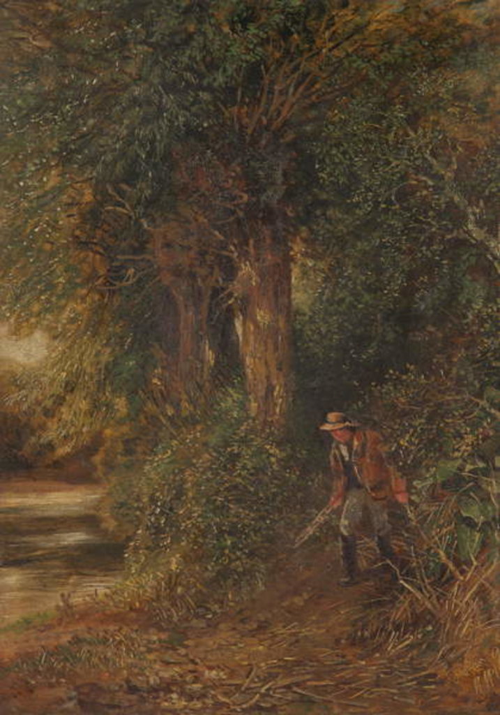Detail of Banks of the Teme, Worcestershire by Henry Harris Lines