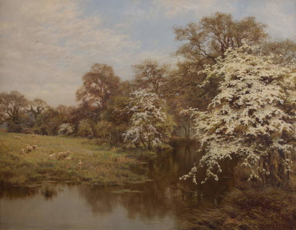 Detail of Hawthorn Blossom by Edward Wilkins Waite