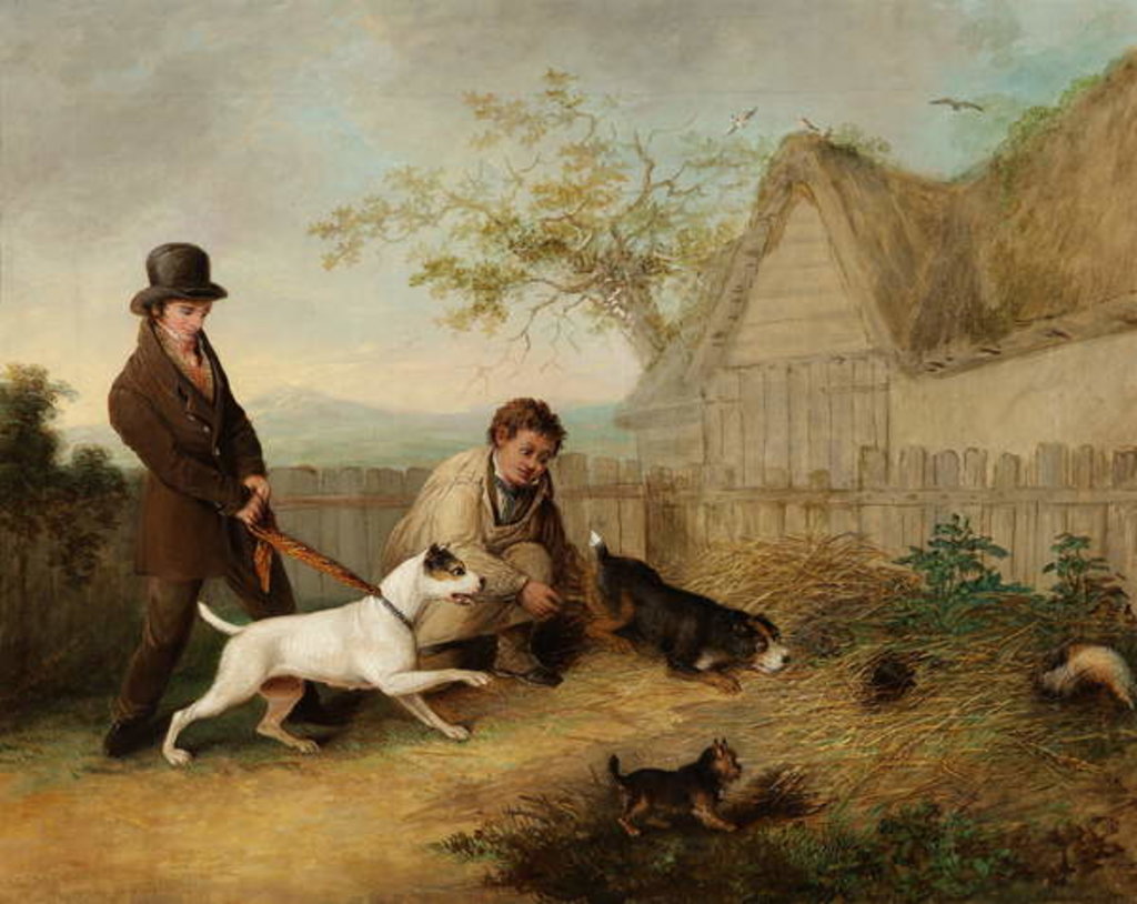 Detail of Rat Catching by Thomas Woodward