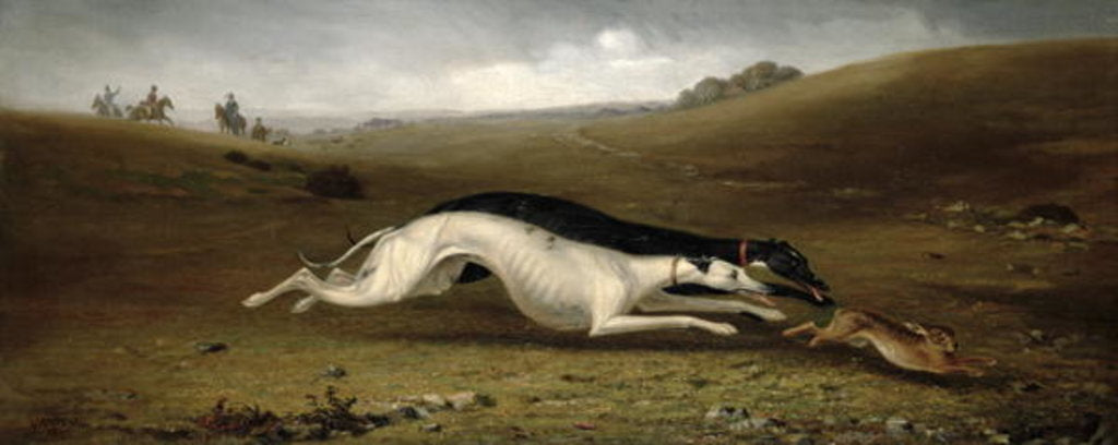 Detail of Hare Coursing in a Landscape, 1870 by John Marshall