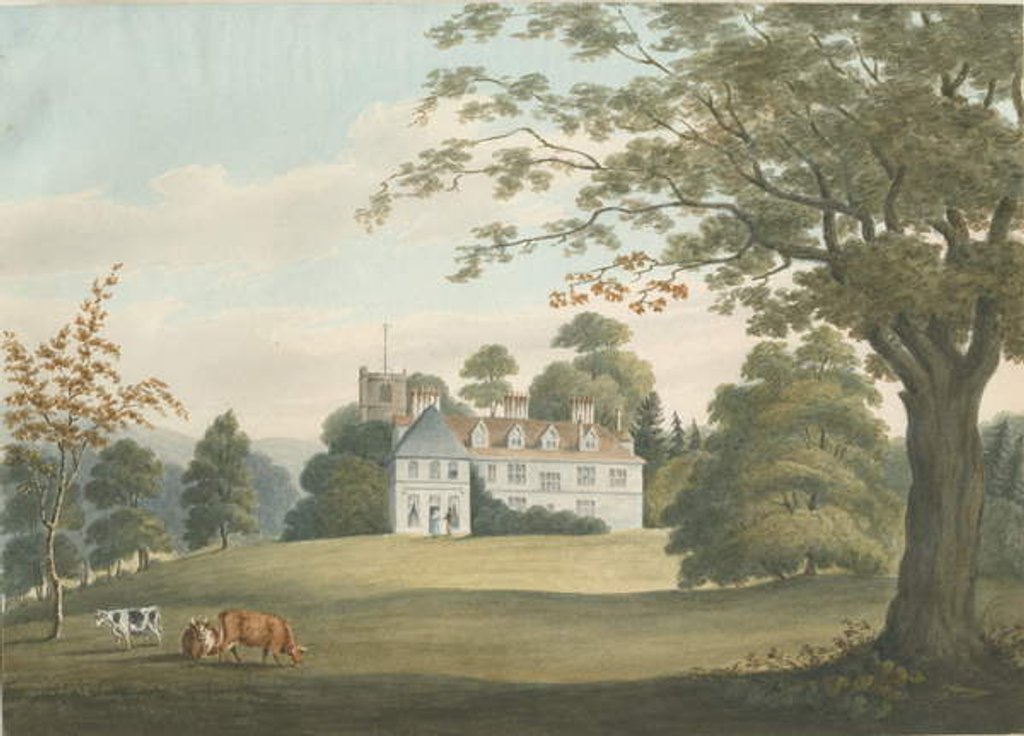 Detail of Arley Hall by Robert Noyes