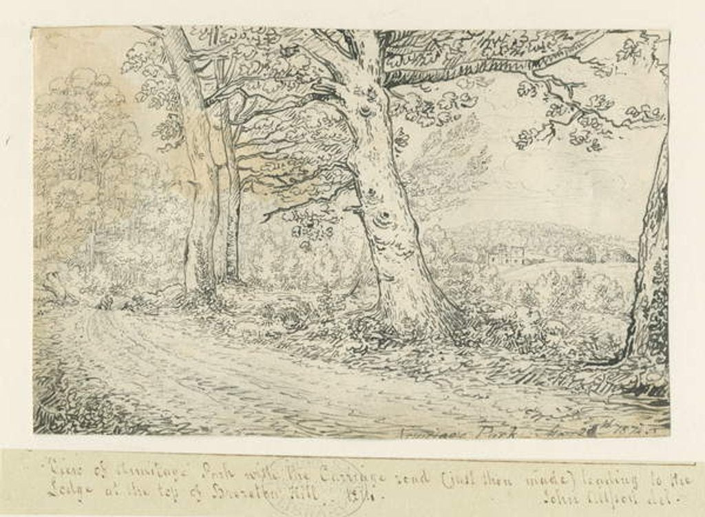 Detail of Armitage Park: pen drawing, 1814 by John Allport