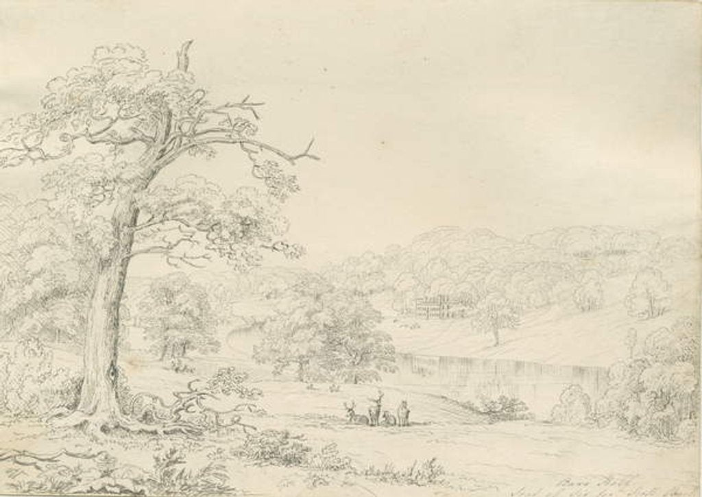 Detail of [Great] Barr Hall: pen drawing, nd [1799-1854] by John Allport