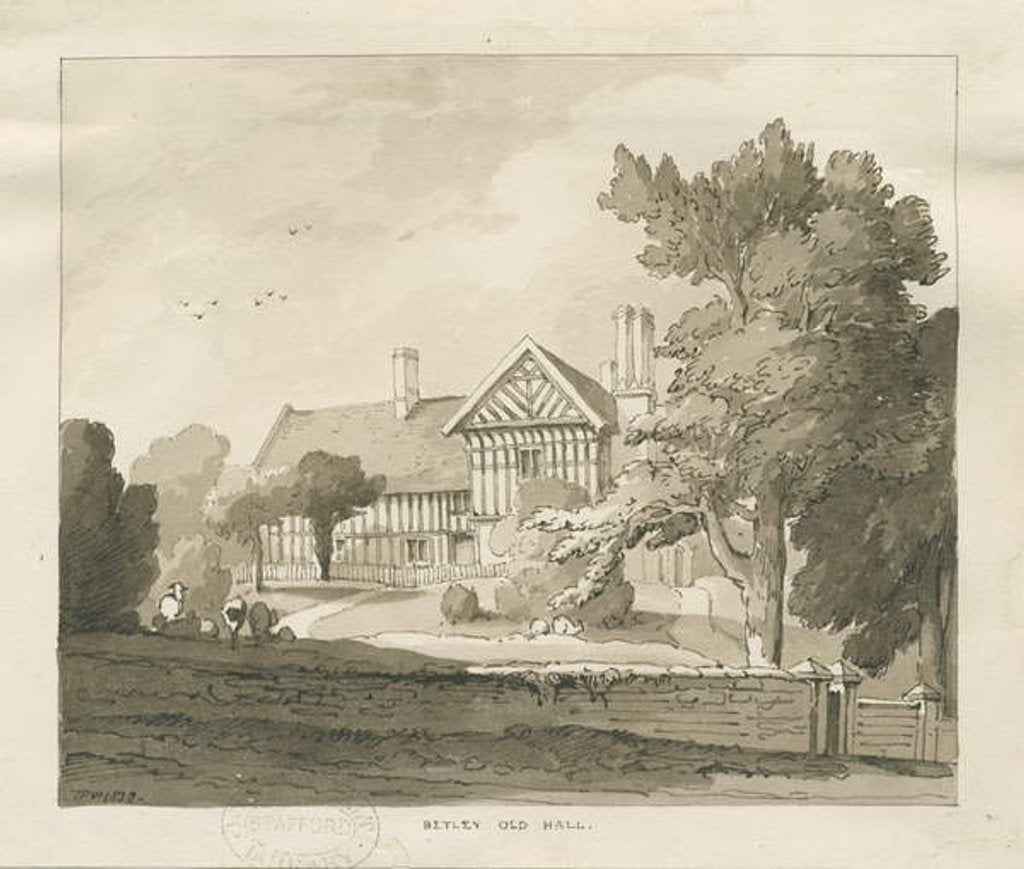 Detail of Betley Old Hall by Thomas Peploe Wood