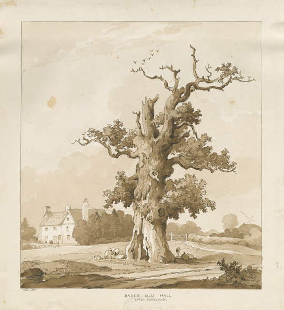 Detail of Eccleshall - Baden Old Hall by Thomas Peploe Wood