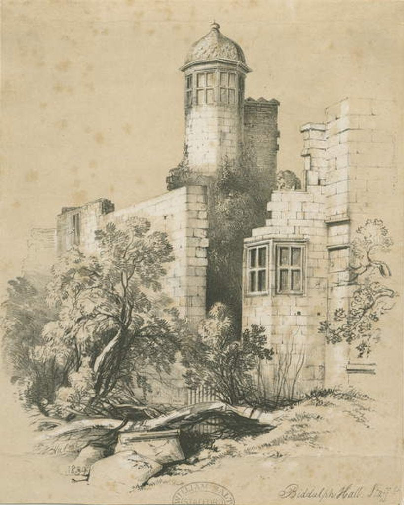 Detail of Biddulph Hall: tinted lithograph, 1839 by Frederick William Hulme