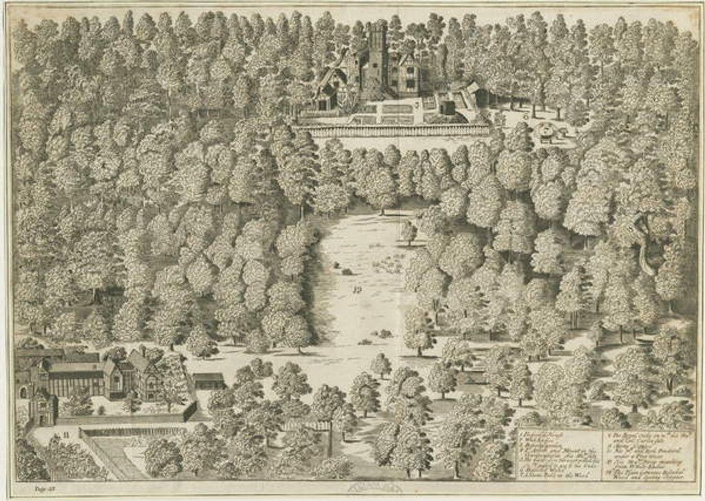 Detail of Boscobel House: engraving, nd [1809] by School English