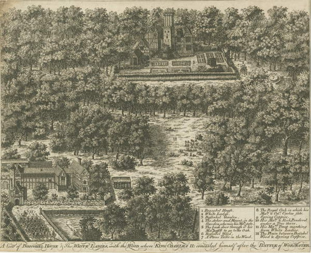 Detail of Boscobel House by School English