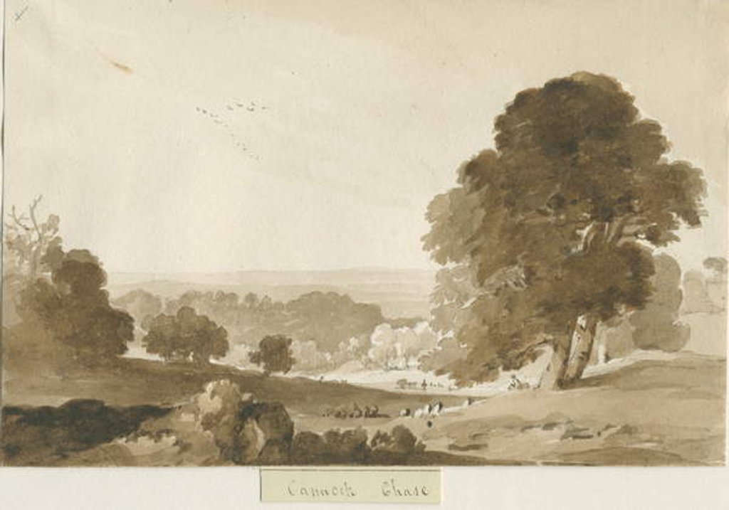 Detail of Cannock Chase by Thomas Peploe Wood