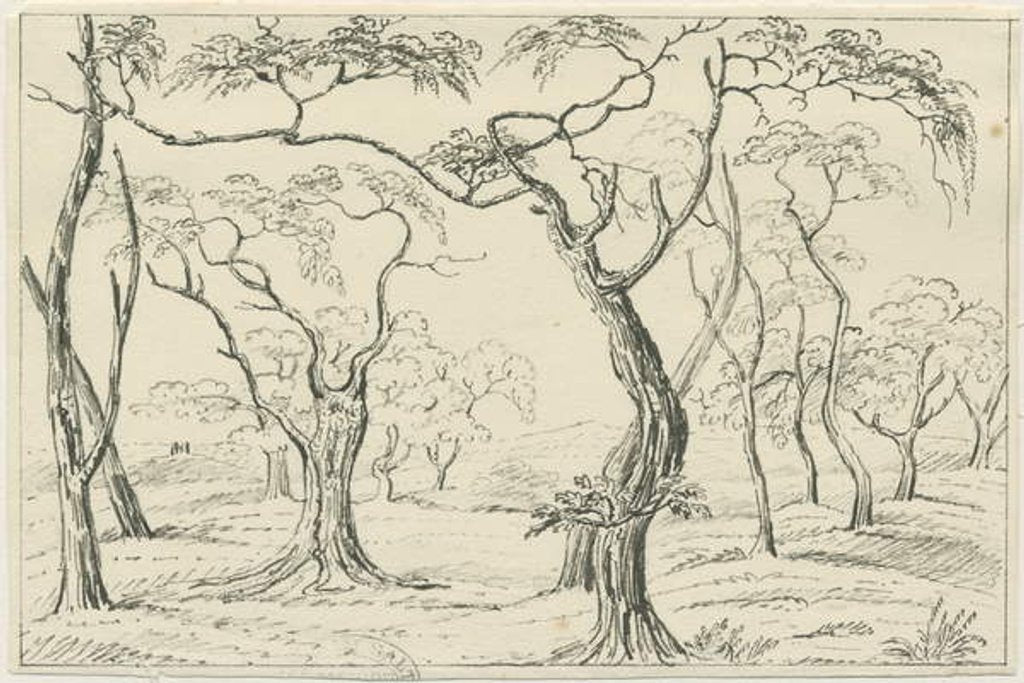 Detail of Cannock Chase by School English