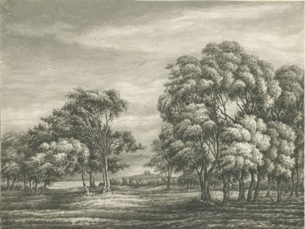 Detail of Castle Church - Stafford Castle by School English