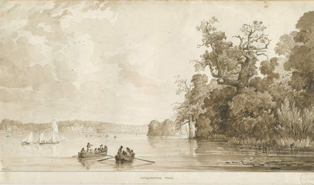 Detail of Chillington Park - Pool by Thomas Peploe Wood