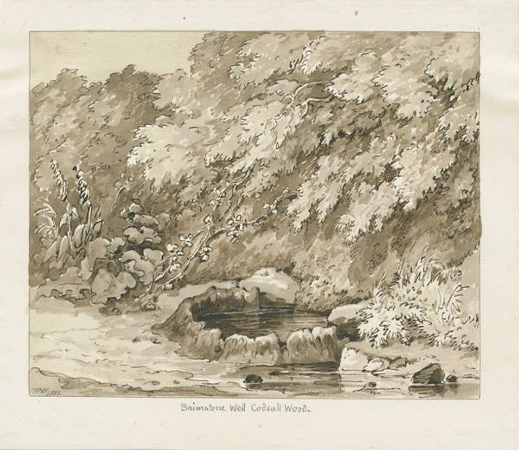 Detail of Codsall Wood - Brimstone Well by Thomas Peploe Wood