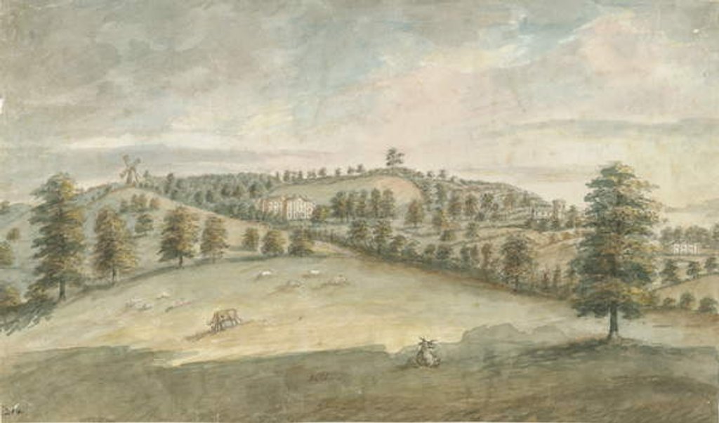 Detail of Dilhorne Hall by Stebbing Shaw