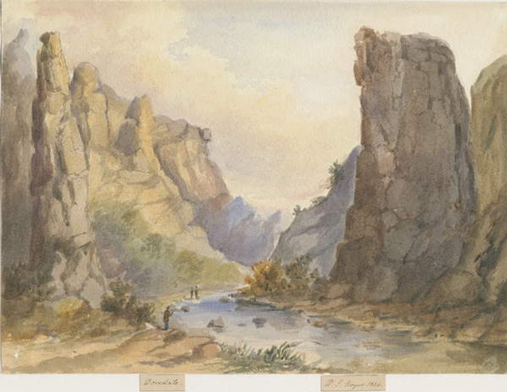 Detail of Dovedale - landscape by Henry James Noyes