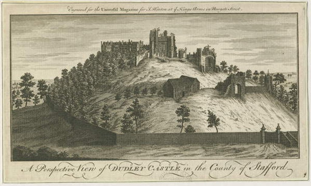 Detail of Dudley Castle by School English