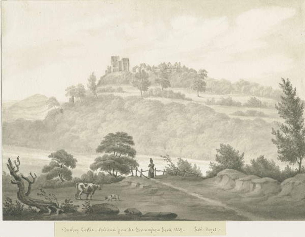 Detail of Dudley Castle by Robert Noyes