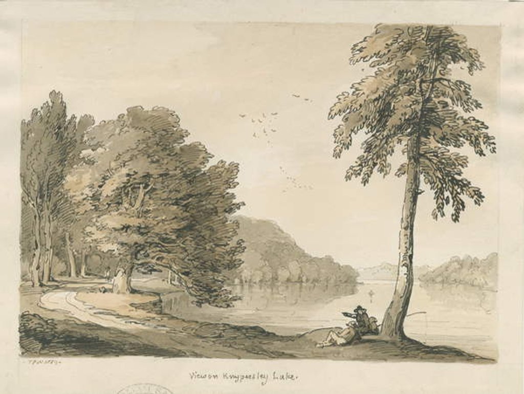 Detail of Biddulph Moor - The Bride-Stones by Thomas Peploe Wood