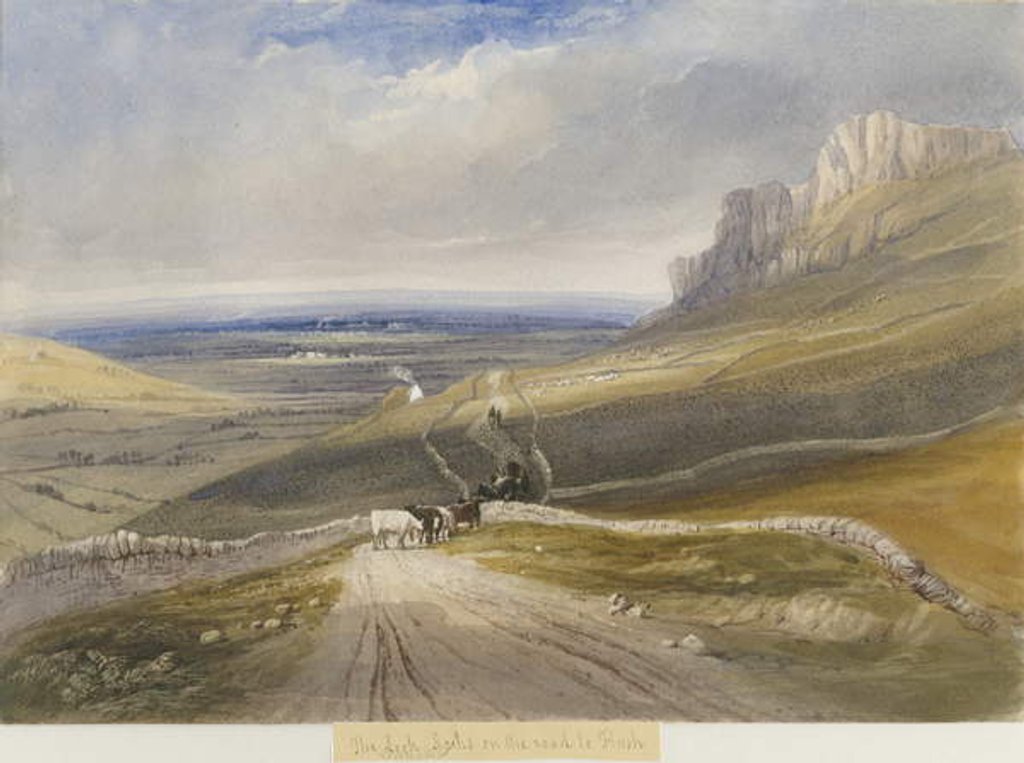 Detail of Leek - Rocks on the road to Flash by Lewis John Wood