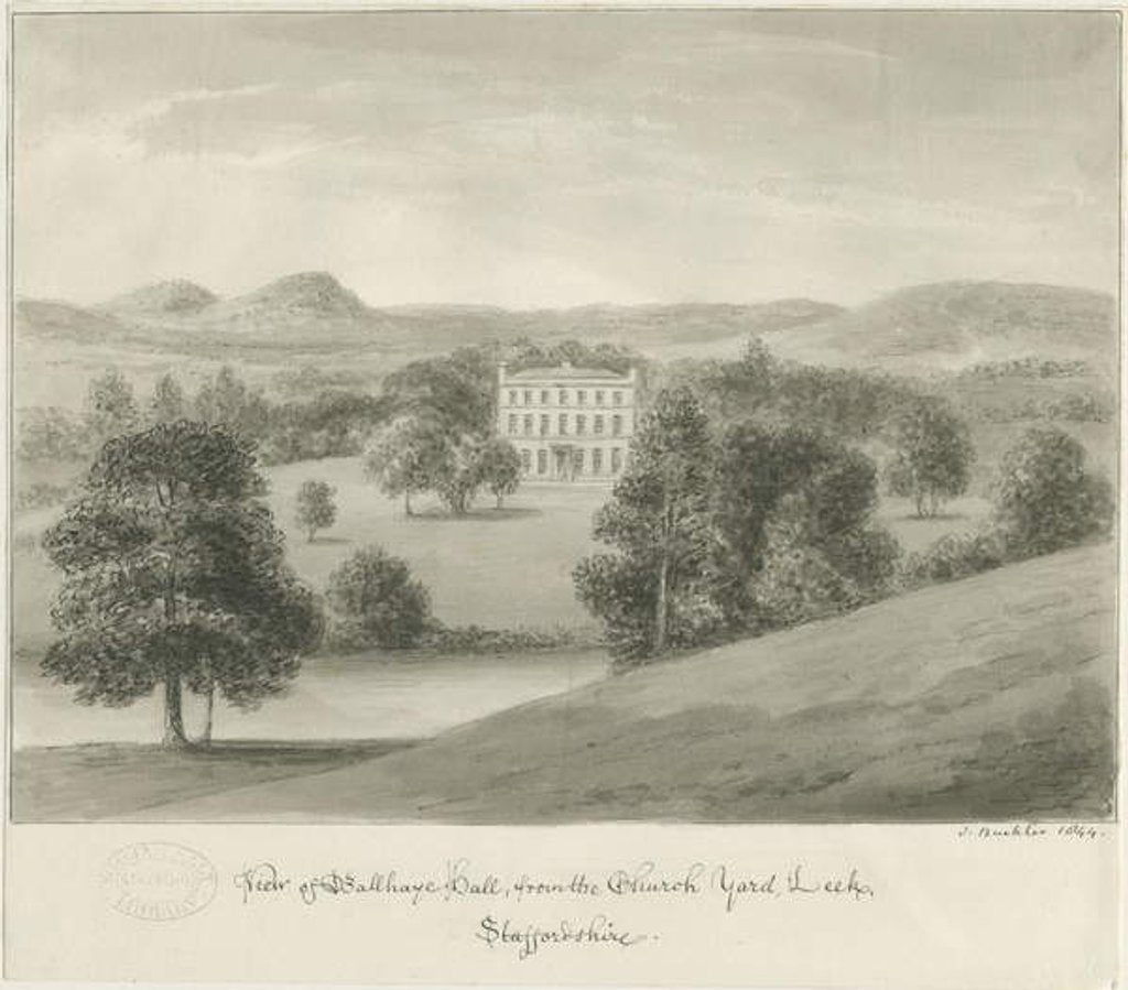 Detail of Leek - Ball Haye Hall by John Buckler