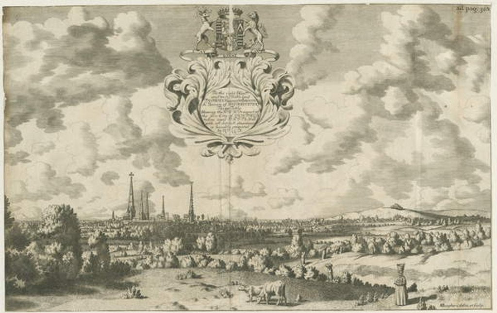 Detail of Lichfield - West North West Prospect by Michael Burghers