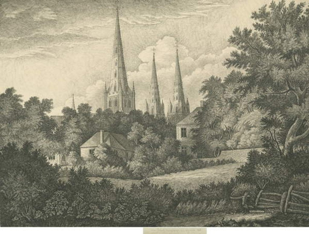 Detail of Lichfield Cathedral - North East View by John Robert Fernyhough