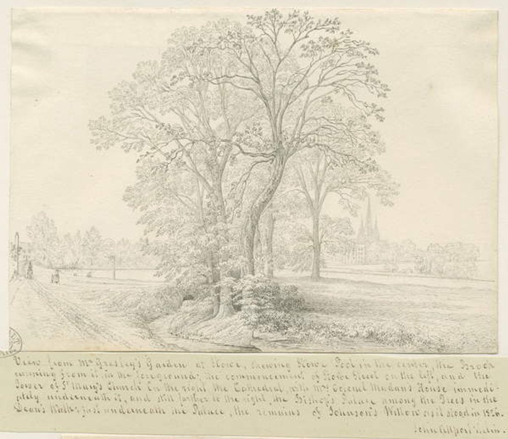 Detail of Lichfield - View across Stowe Pool by John Allport