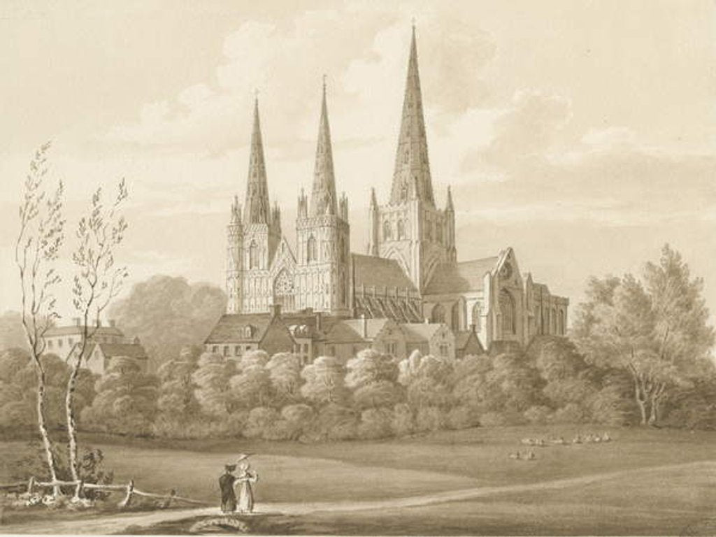 Detail of Lichfield Cathedral - West South West View by Robert Noyes