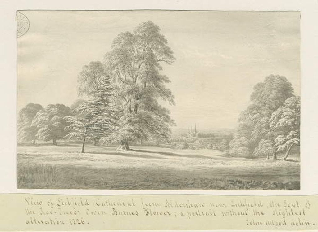 Detail of Lichfield Cathedral - View from Aldershaw by John Allport