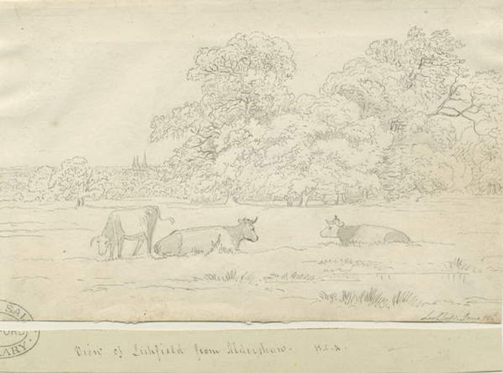 Detail of Lichfield - View from Aldershaw: pen drawing by Henry Curzon Allport