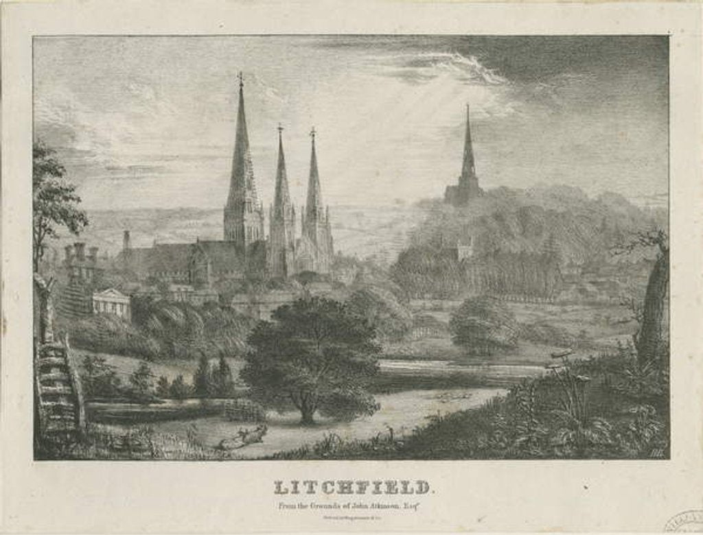 Detail of Lichfield - North West View by School English
