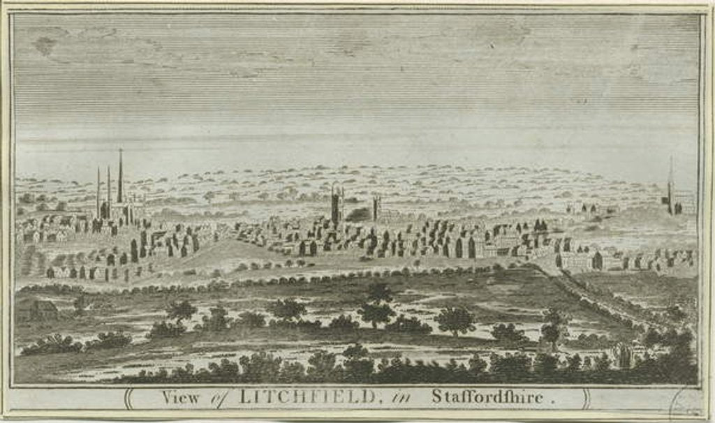 Detail of Lichfield - South West View by School English