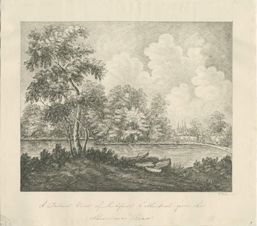 Detail of Lichfield Cathedral - West South West view: pen drawing, 1836 by John Robert Fernyhough