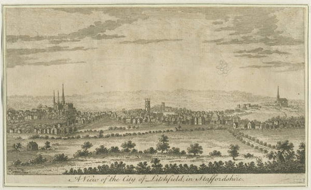 Detail of Lichfield - South West View by School English